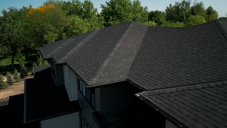 Best Chimney Flashing Repair  in Royal Oak, MI