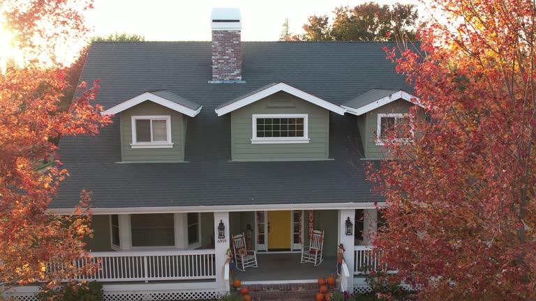 Best Roof Insulation Installation  in Royal Oak, MI