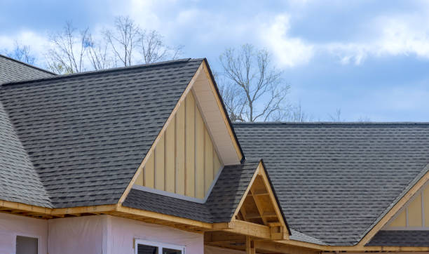 Best Green or Eco-Friendly Roofing Solutions  in Royal Oak, MI