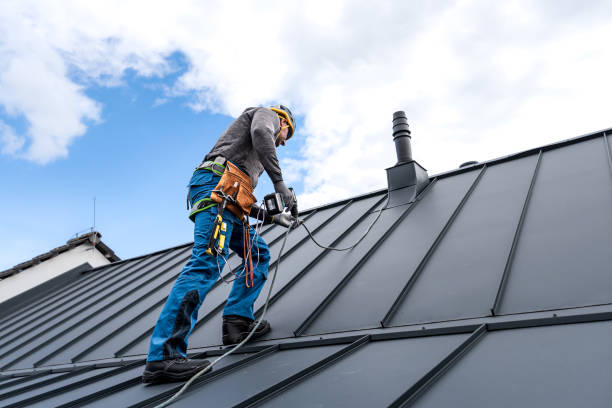 Best Commercial Roofing Services  in Royal Oak, MI